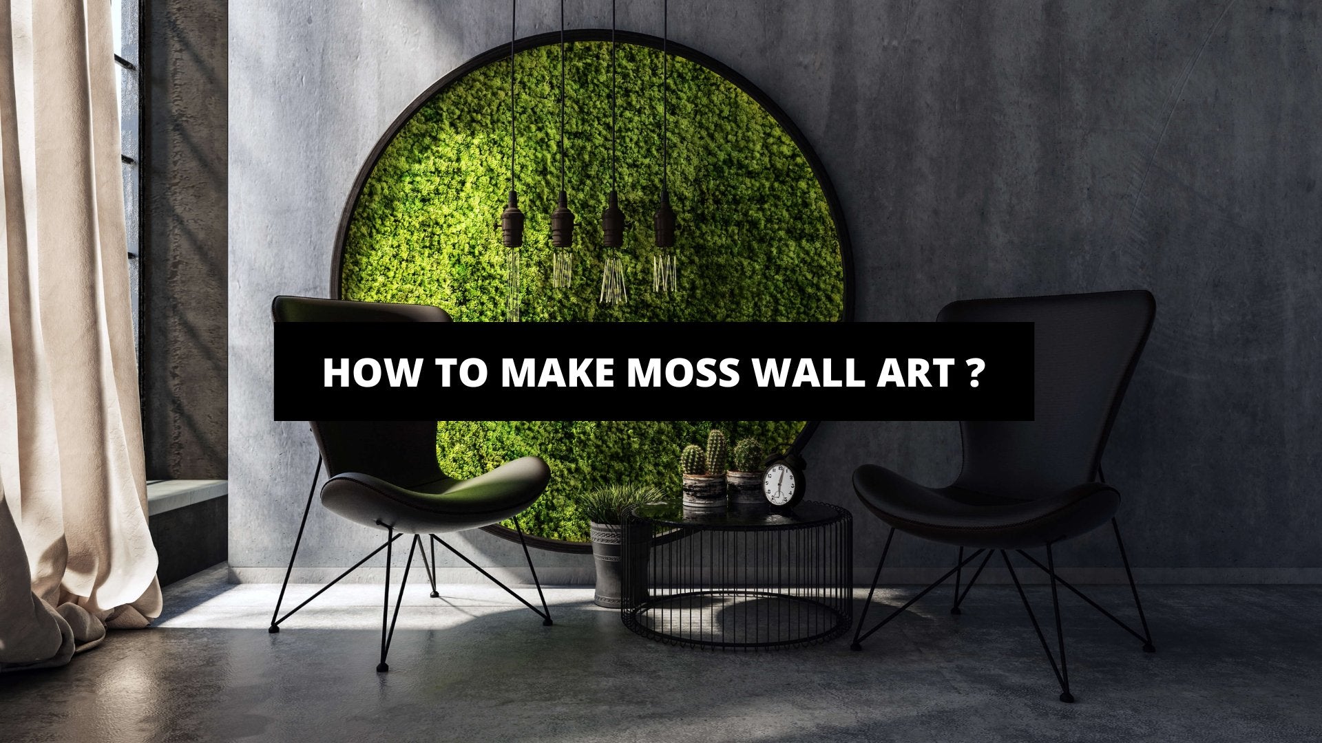 Moss Wall Art, Biophilic Design I Sustainable Decor