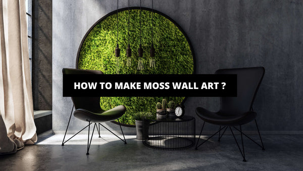 How To Make Moss Wall Art ? | The Trendy Art