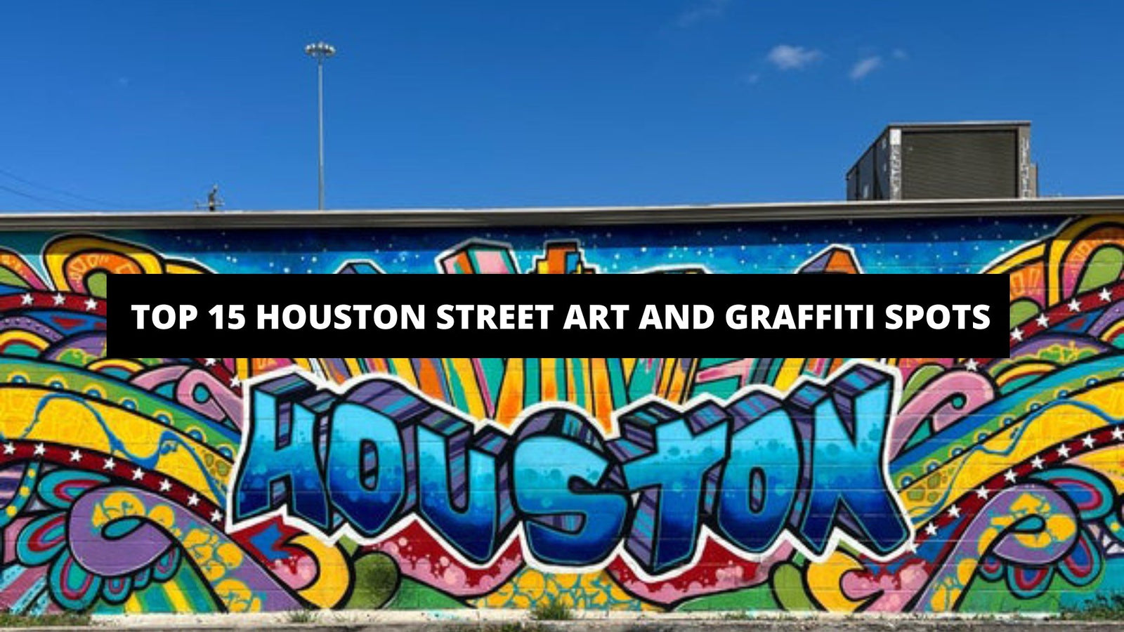 Houston, Texas: Cultured and Energetic City with Dynamic Attractions