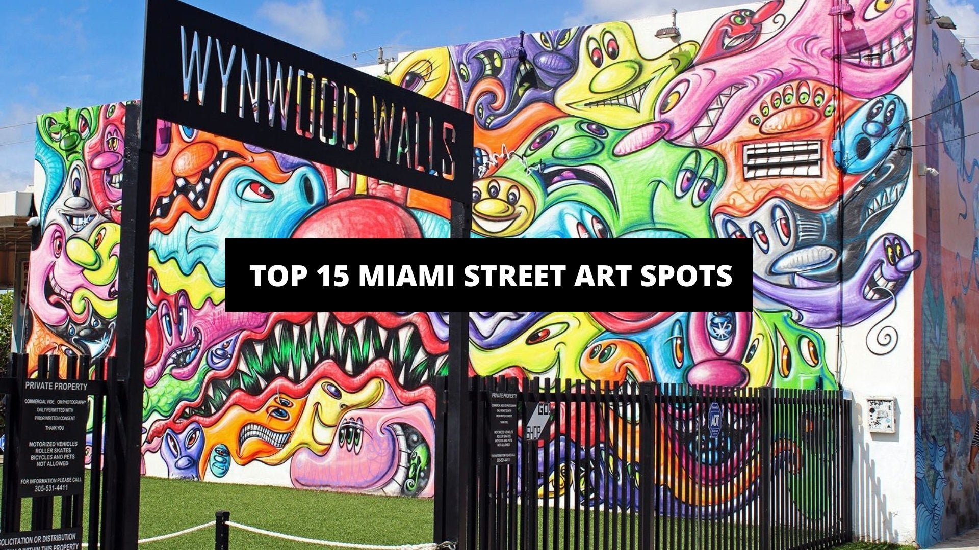 Top 15 Miami Street Art Spots - The Trendy Art