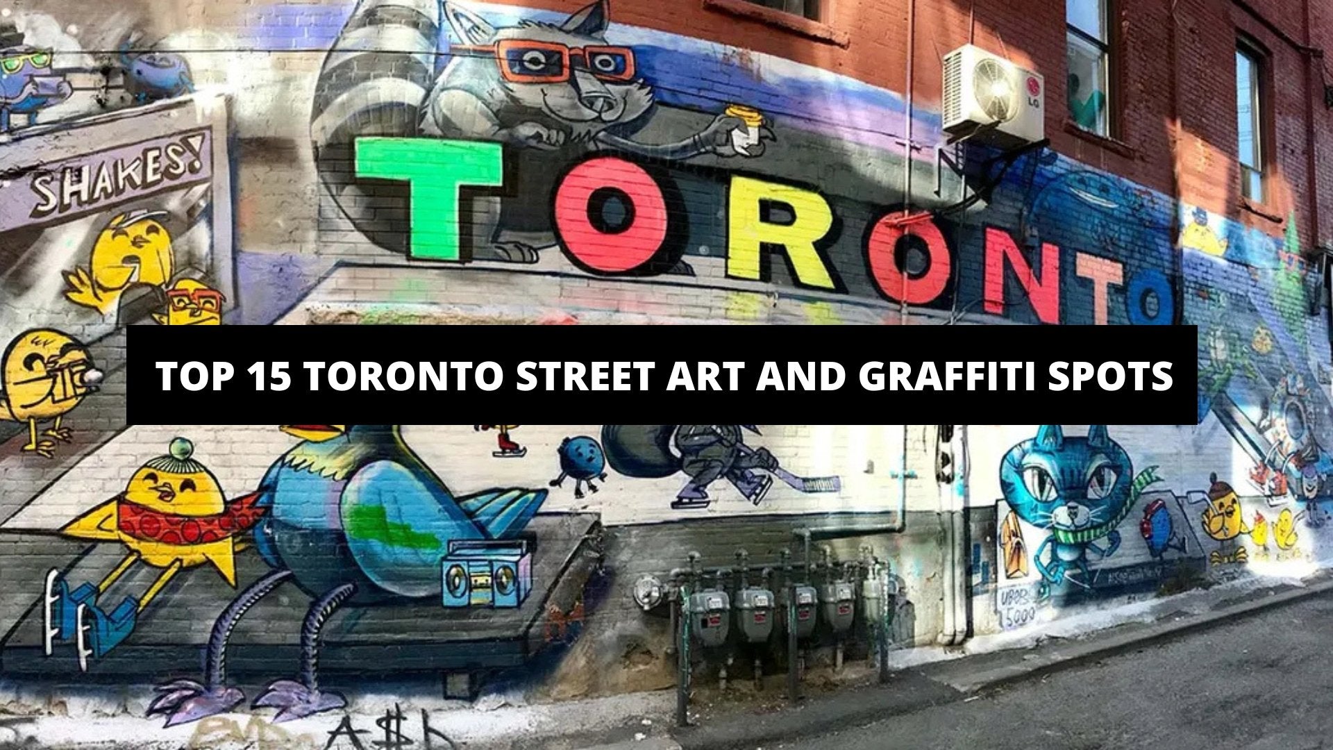 Top 15 Toronto Street Art and Graffiti Spots - The Trendy Art