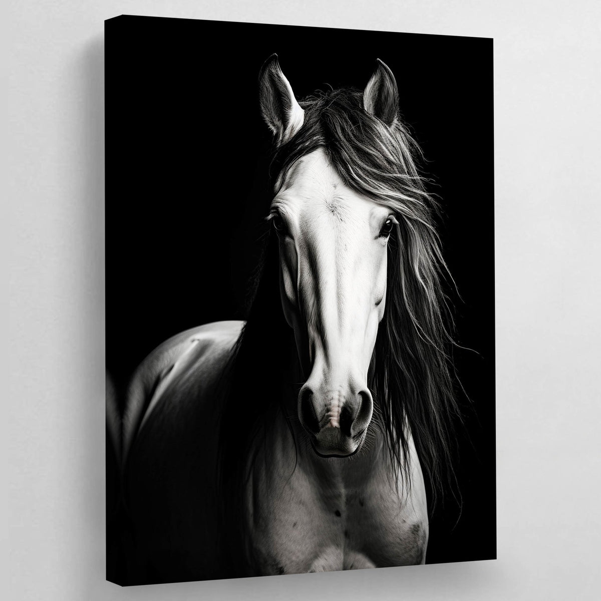 Black and White Horse Canvas - The Trendy Art