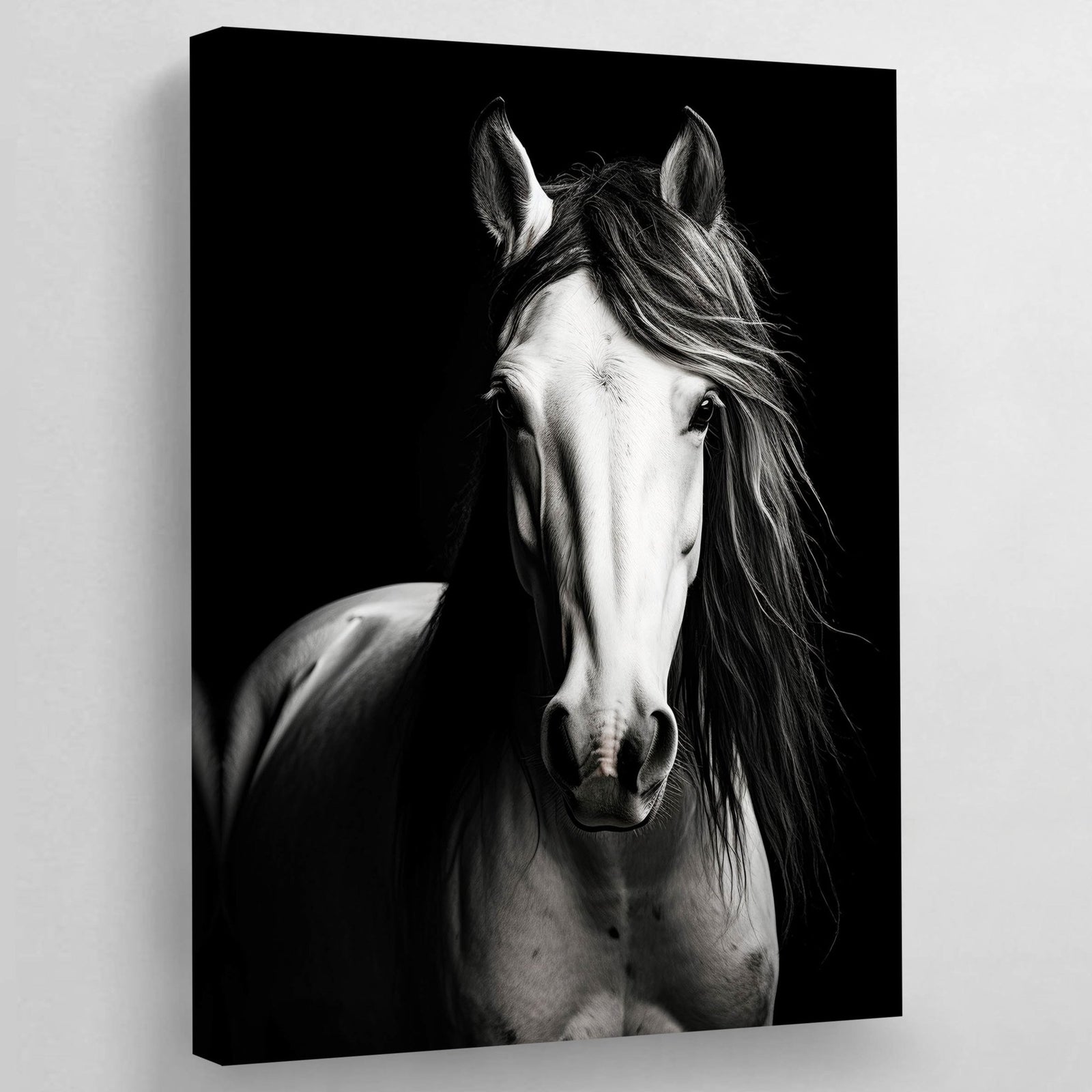 Black and White Horse Canvas - The Trendy Art