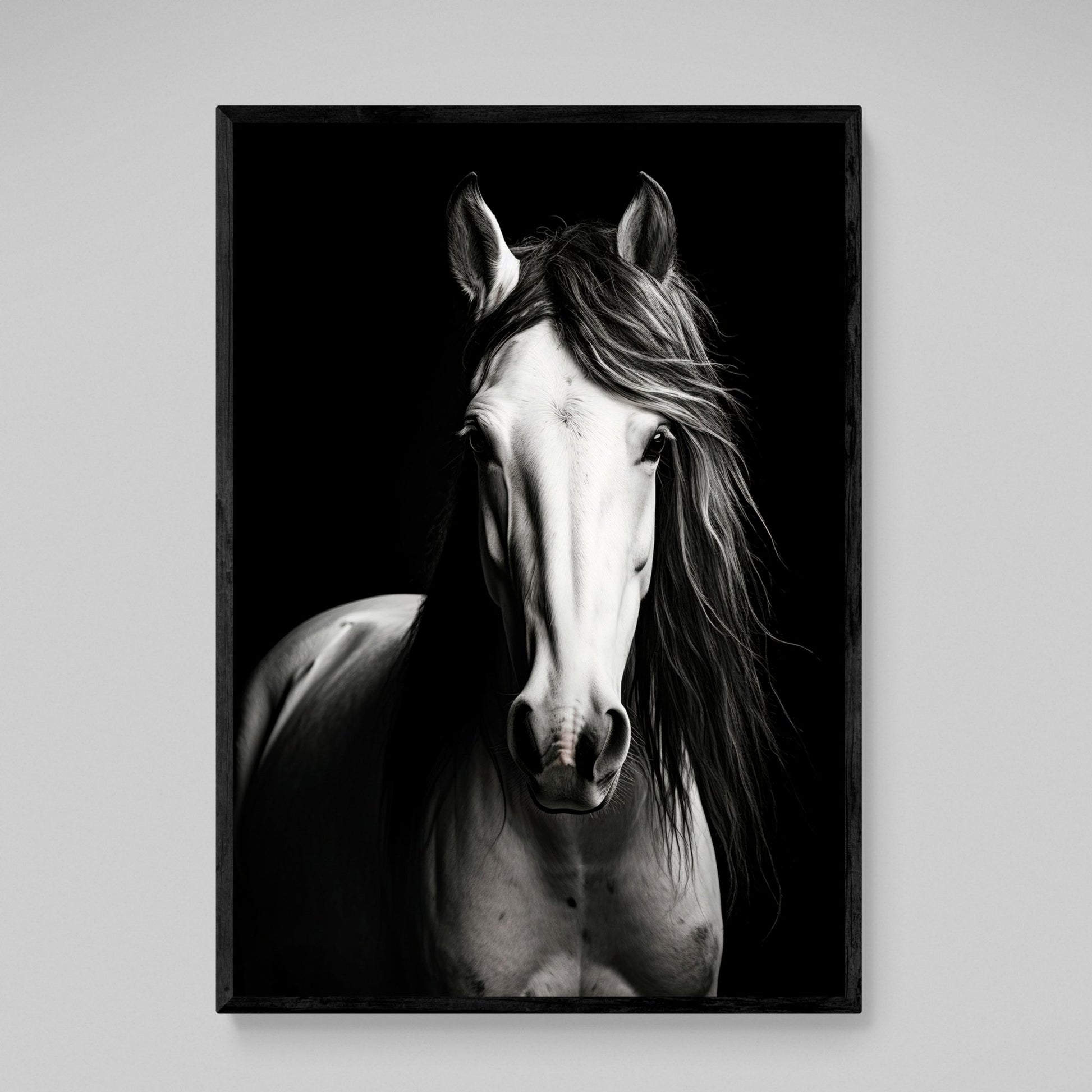 Black and White Horse Canvas - The Trendy Art