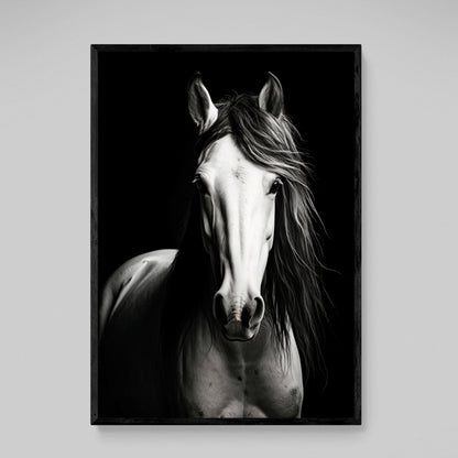 Black and White Horse Canvas - The Trendy Art