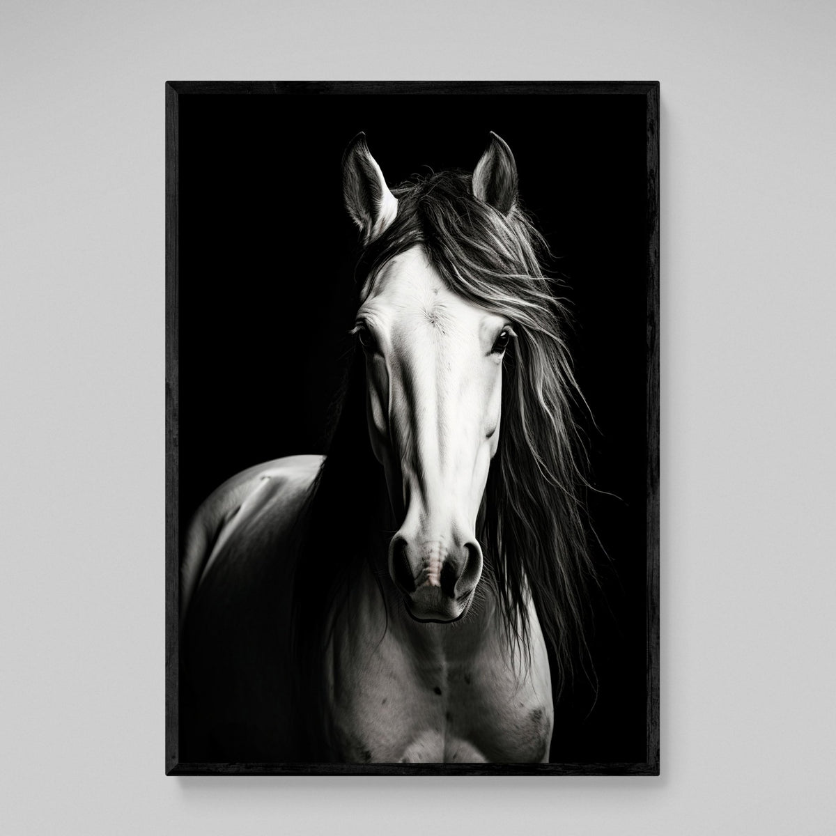 Black and White Horse Canvas - The Trendy Art