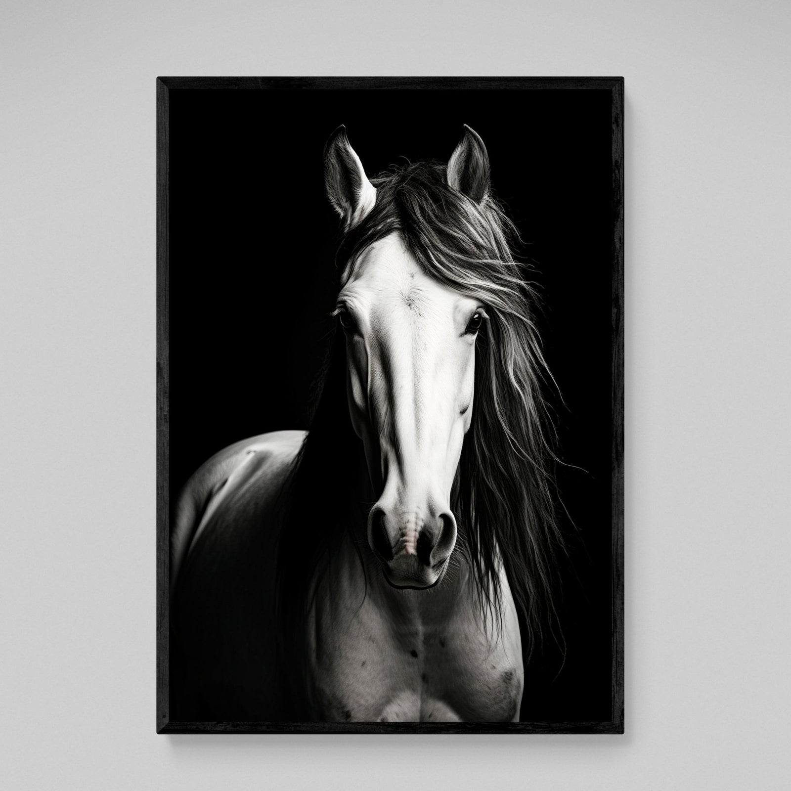 Black and White Horse Canvas - The Trendy Art