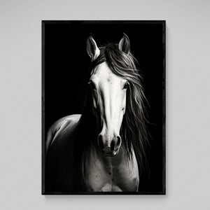 Black and White Horse Canvas - The Trendy Art