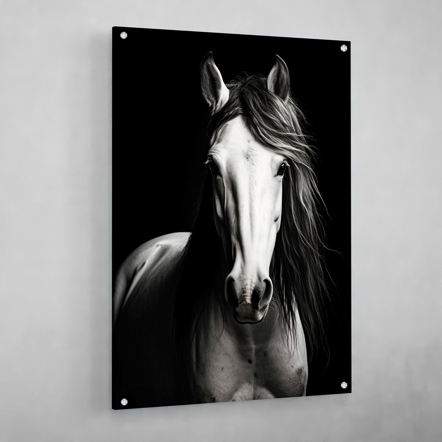 Black and White Horse Canvas - The Trendy Art