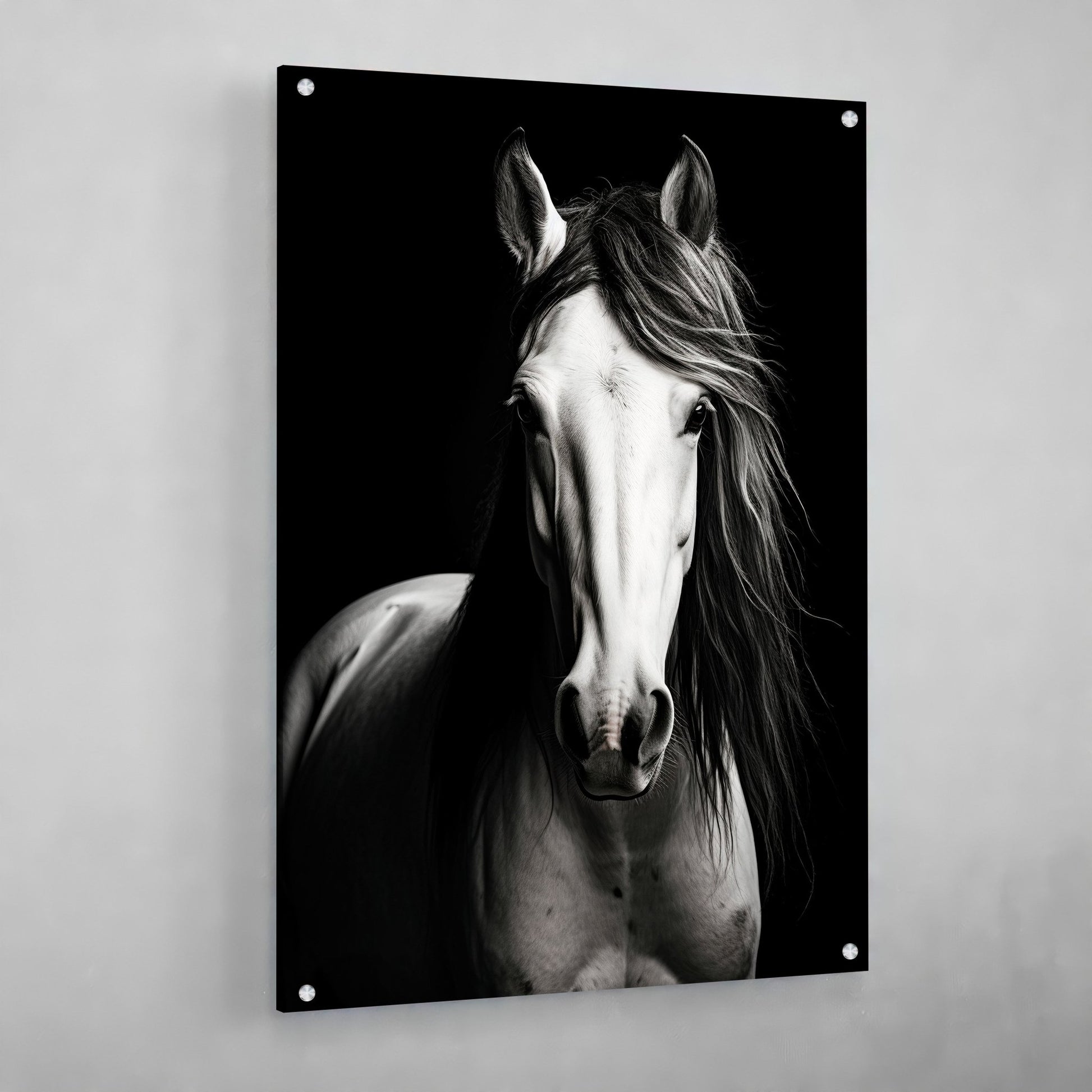 Black and White Horse Canvas - The Trendy Art