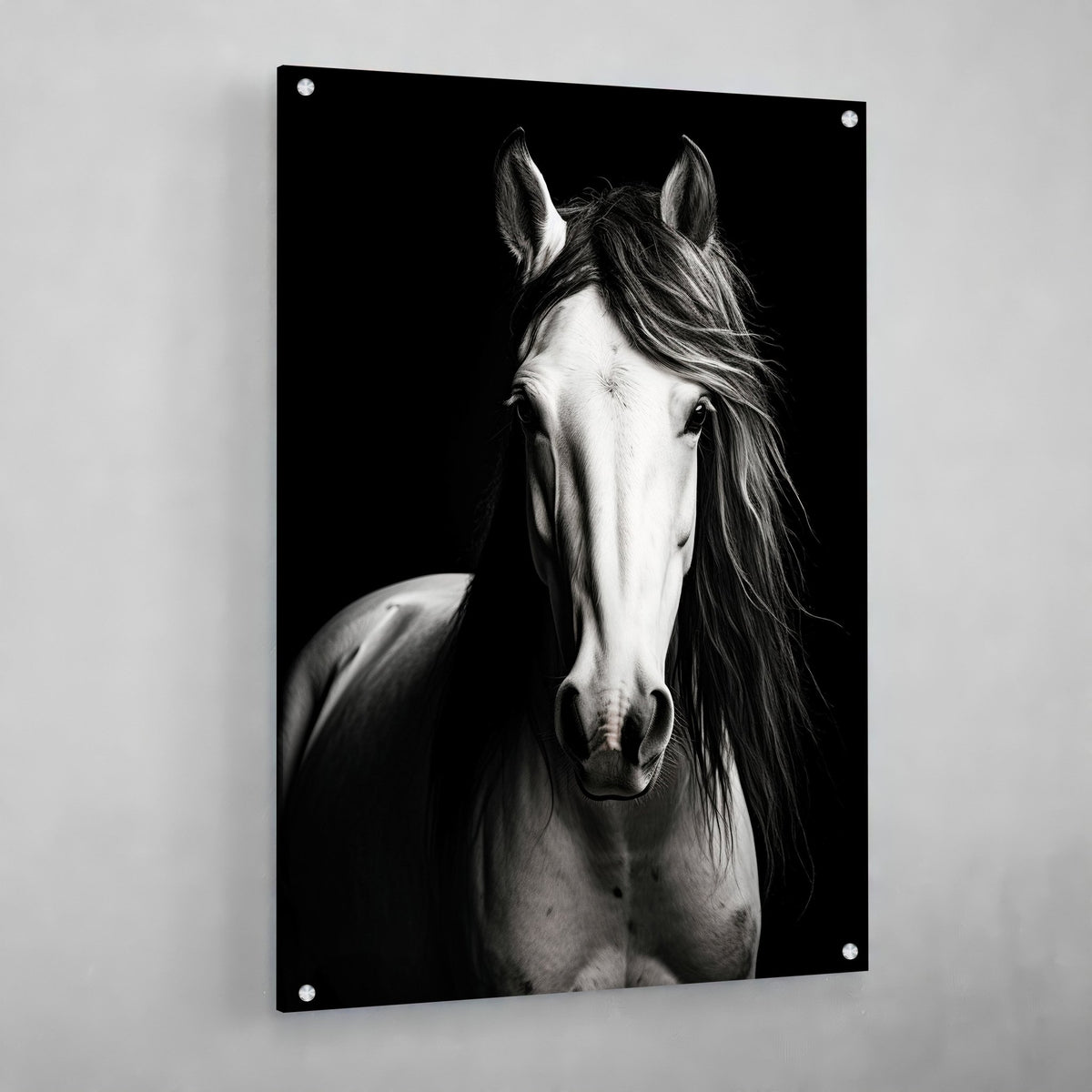 Black and White Horse Canvas - The Trendy Art