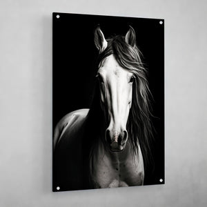 Black and White Horse Canvas - The Trendy Art