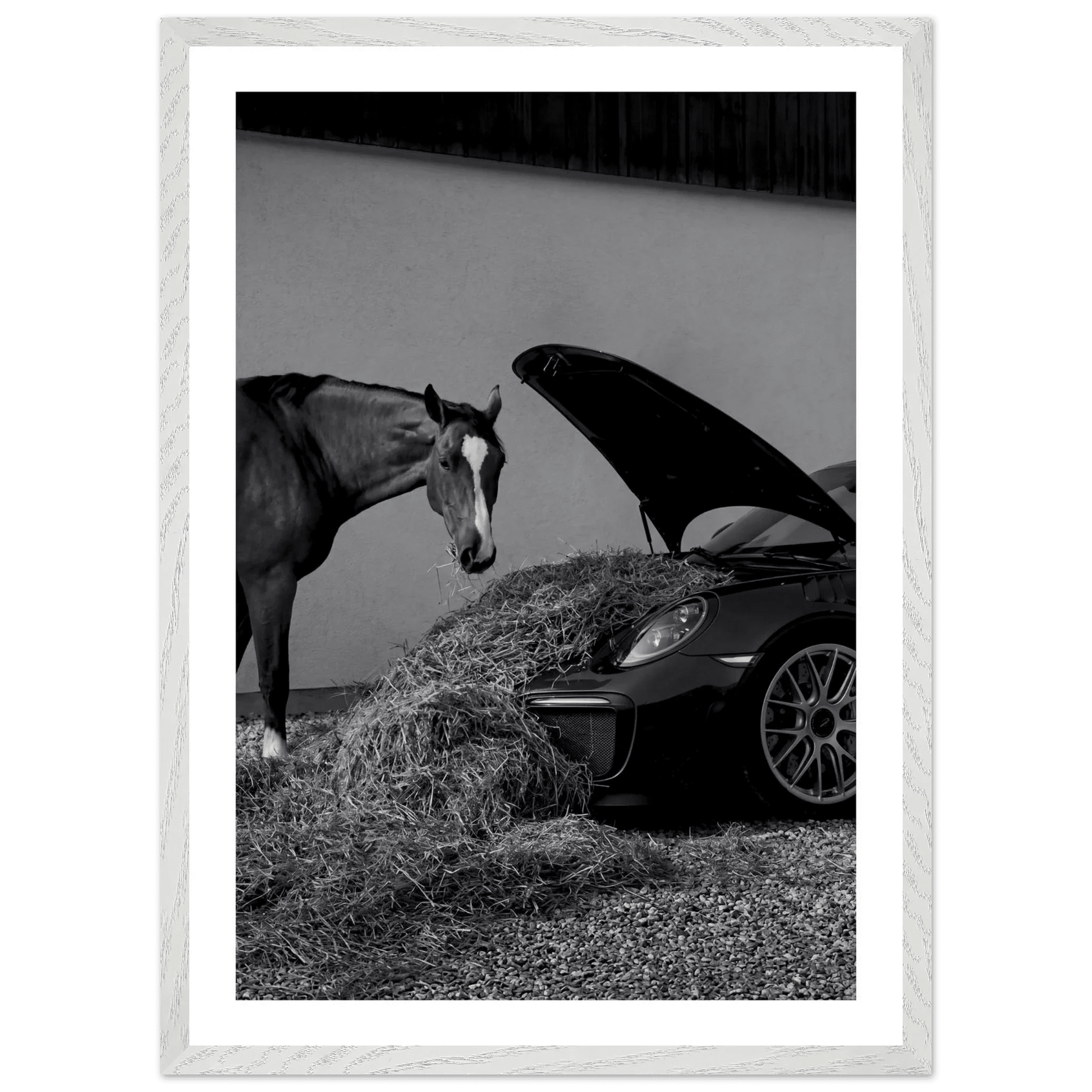 Horsepower Black and White Wall Art - The Trendy Art