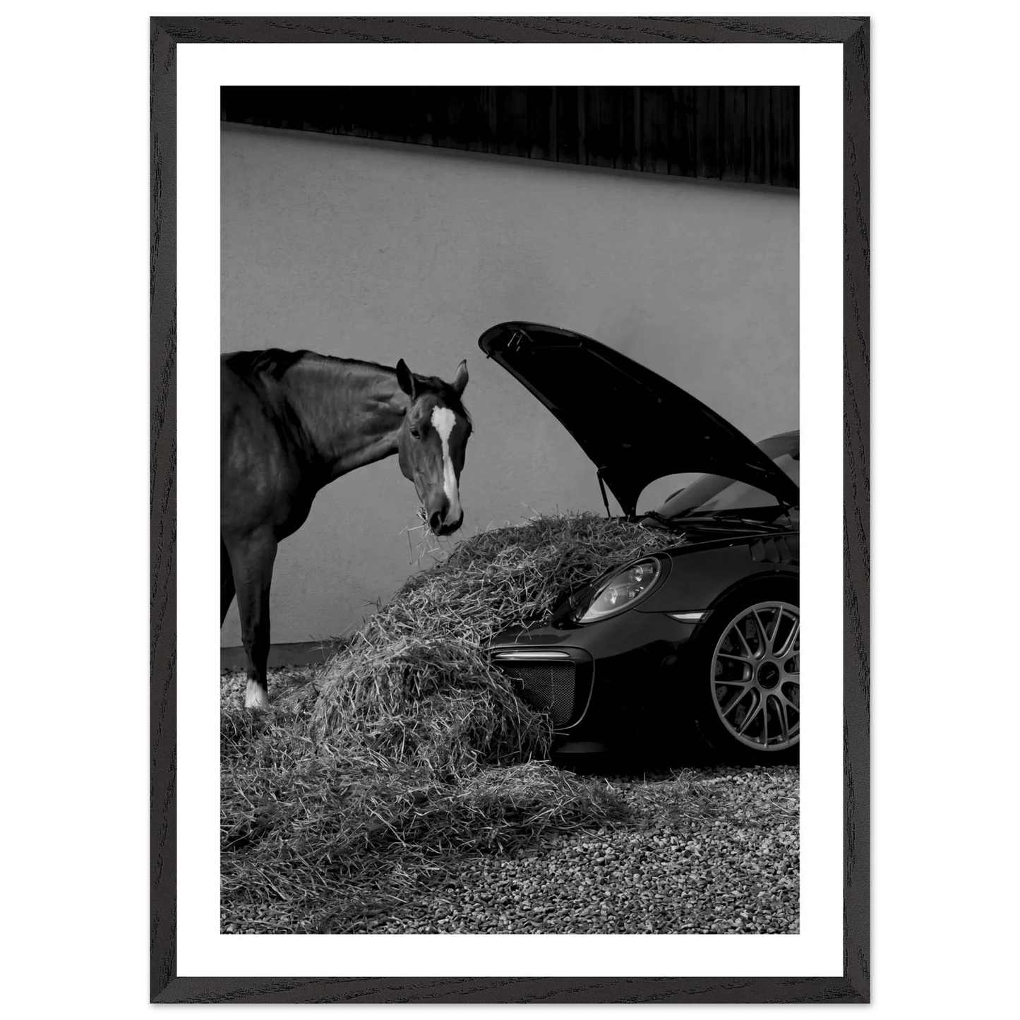 Horsepower Black and White Wall Art - The Trendy Art