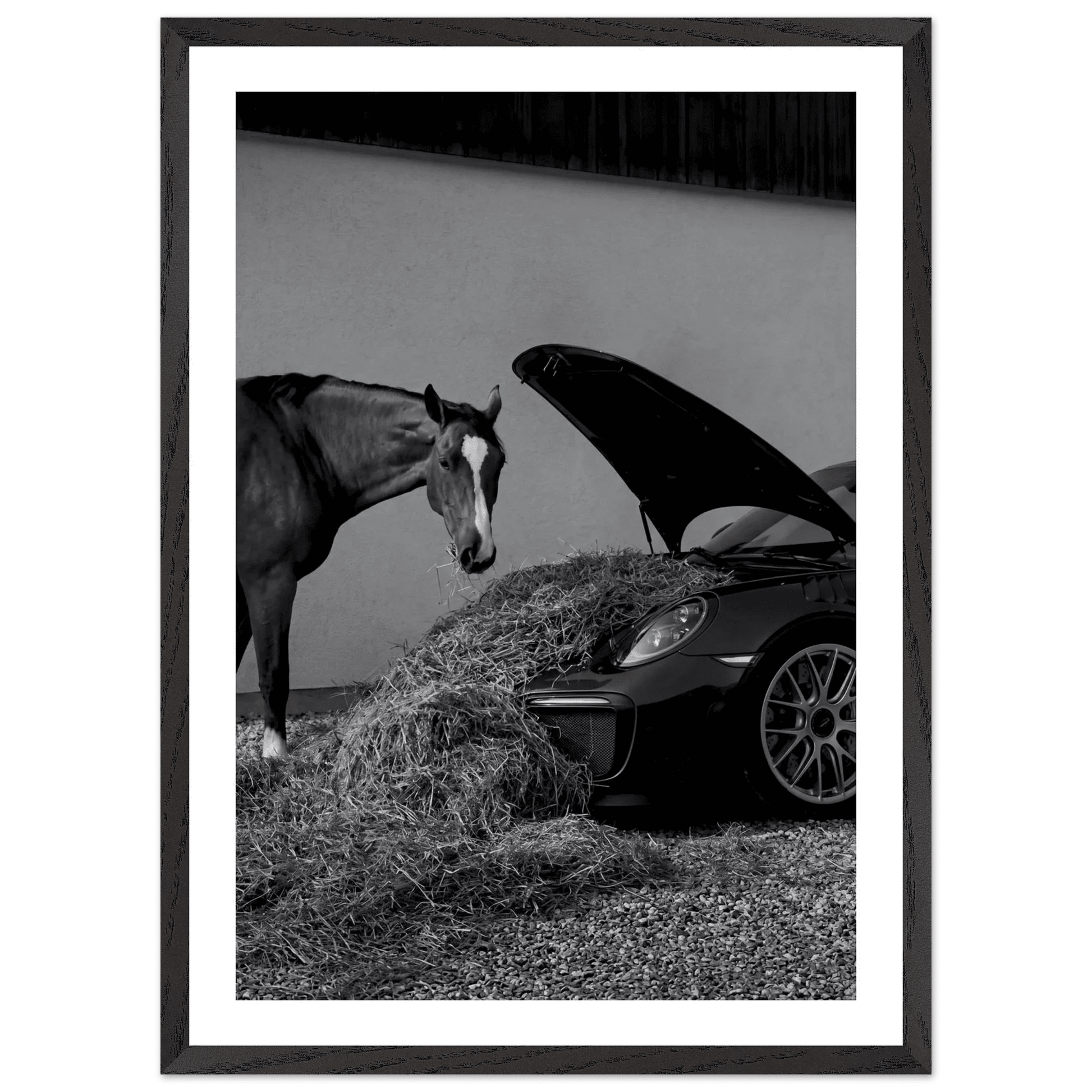 Horsepower Black and White Wall Art - The Trendy Art