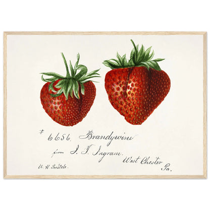 Kitchen Wall Art Painting - The Trendy Art