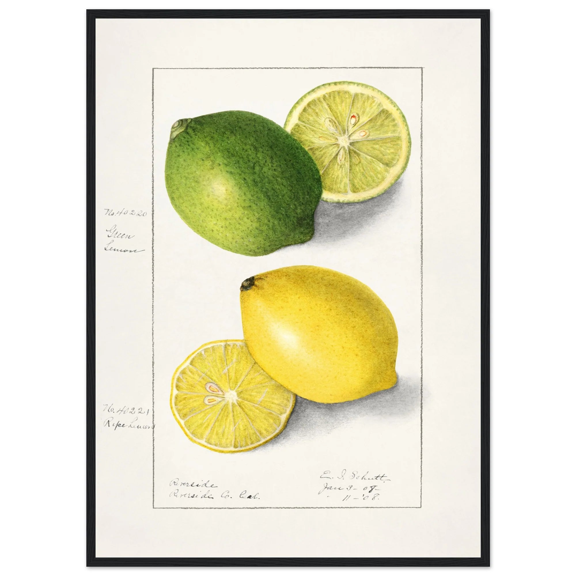 Lemon Wall Art Kitchen - The Trendy Art