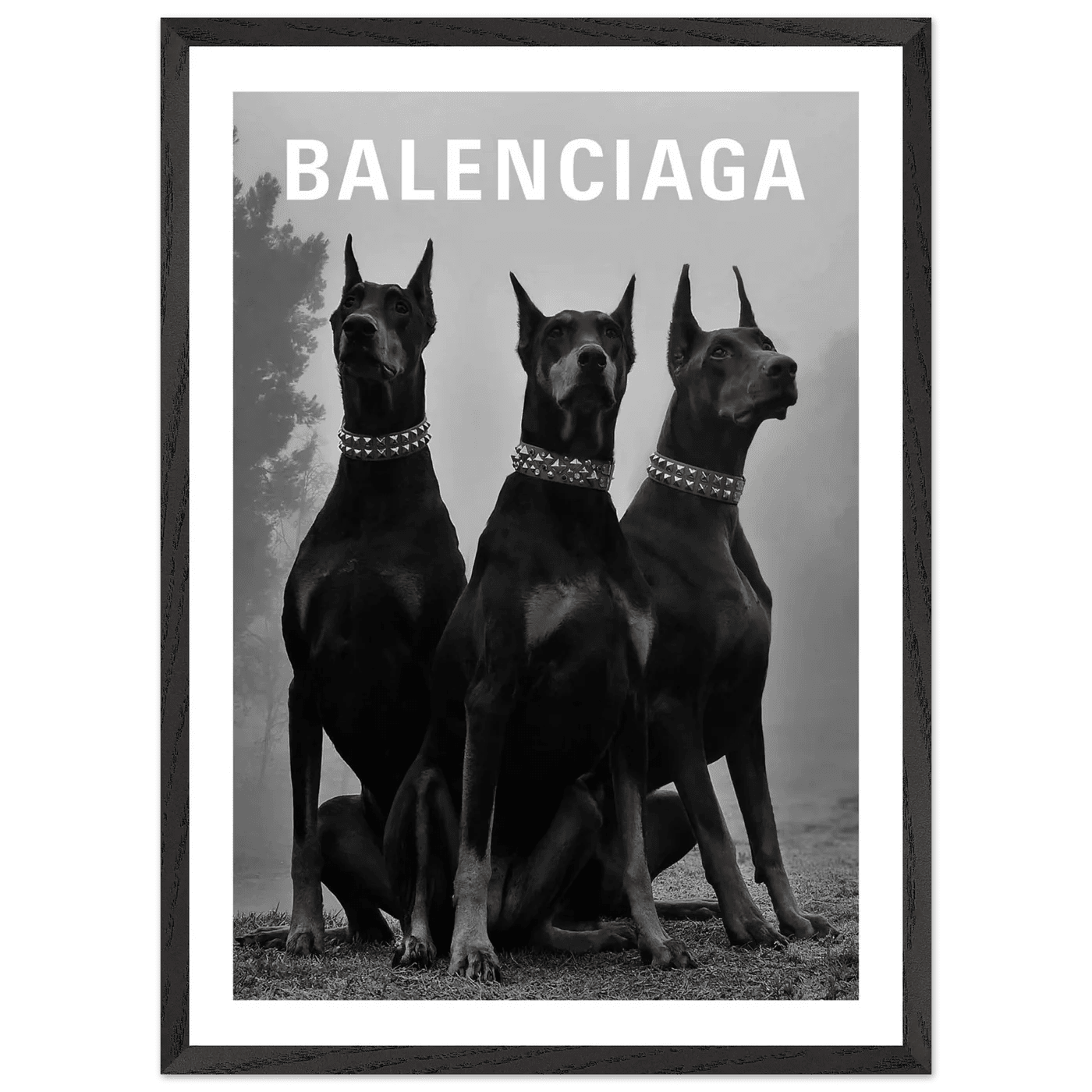 Luxury Dobermans Black and White Wall Art - The Trendy Art