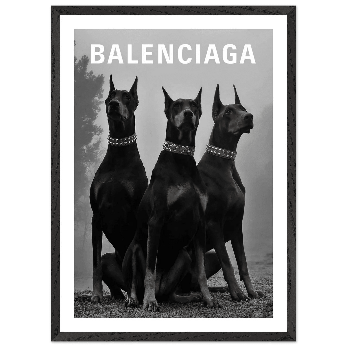 Luxury Dobermans Black and White Wall Art - The Trendy Art