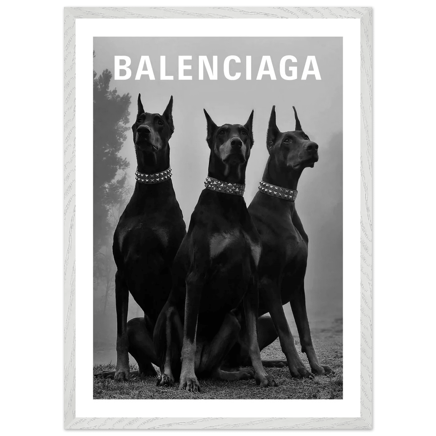 Luxury Dobermans Black and White Wall Art - The Trendy Art
