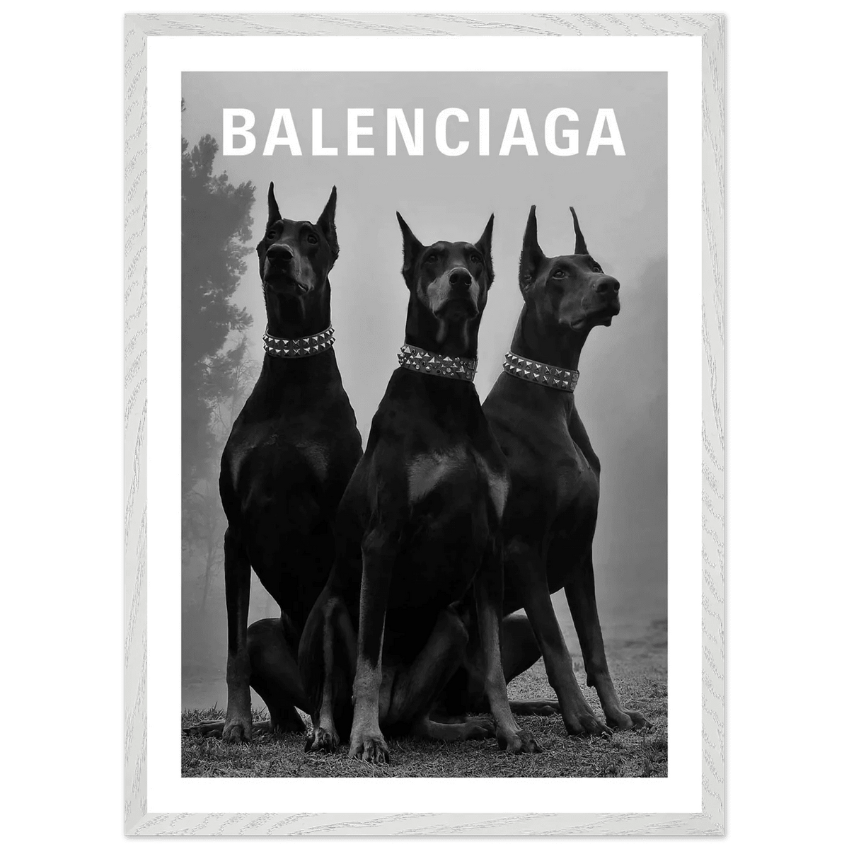 Luxury Dobermans Black and White Wall Art - The Trendy Art