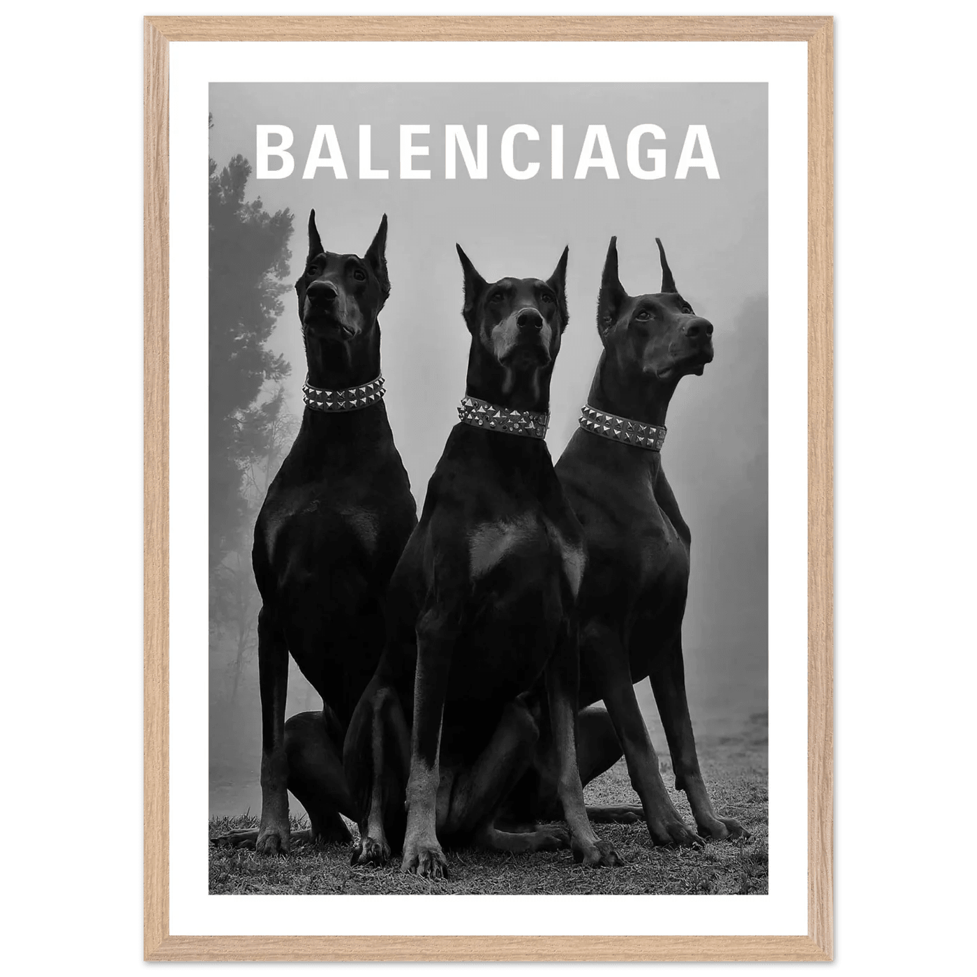 Luxury Dobermans Black and White Wall Art - The Trendy Art