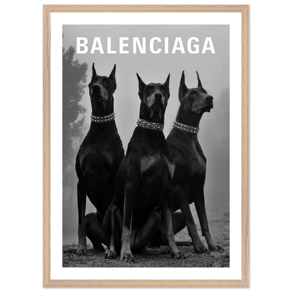 Luxury Dobermans Black and White Wall Art - The Trendy Art