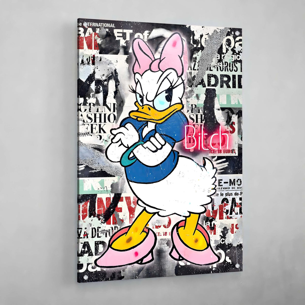 Lady Duck Graffiti Wall Art - The Trendy Art