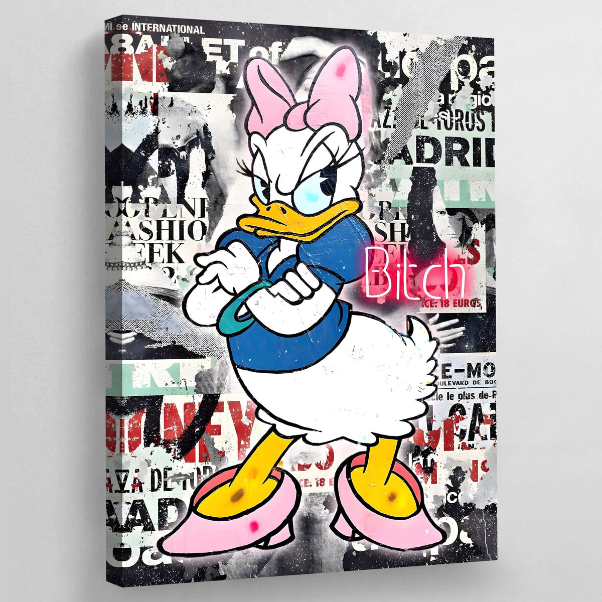 Lady Duck Graffiti Wall Art - The Trendy Art