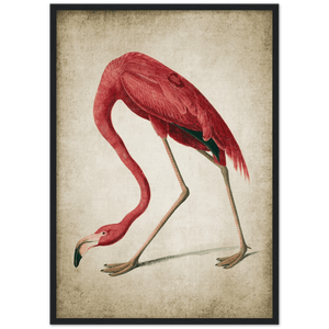 Vintage Flamingo Wall Art - The Trendy Art